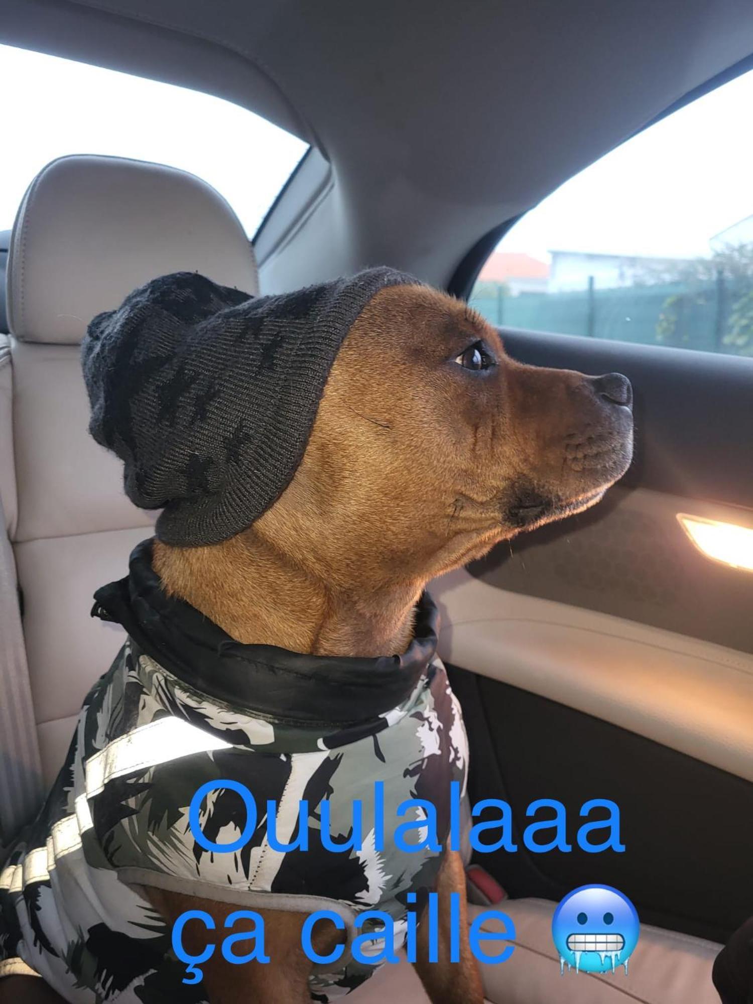 Les Logis D'argent Independant Parking Entree Autonome Linge De Lit Et Serviettes Wifi Fibre Tv Connectee Apartment *